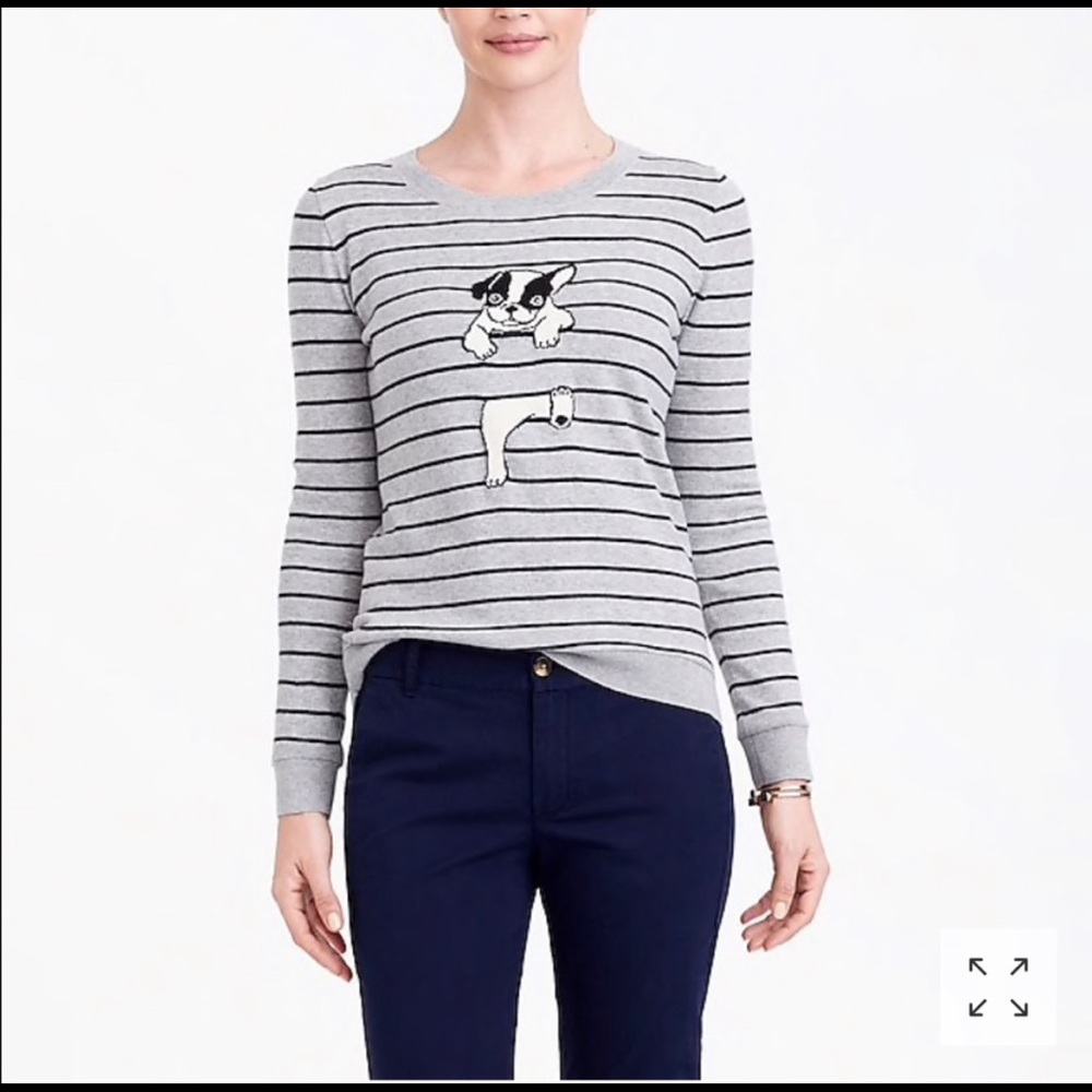 Dog sweater